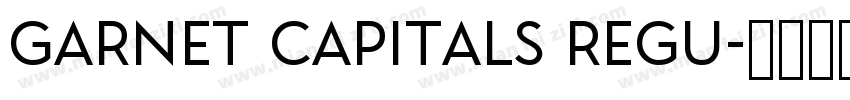 Garnet Capitals Regu字体转换